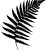 fern